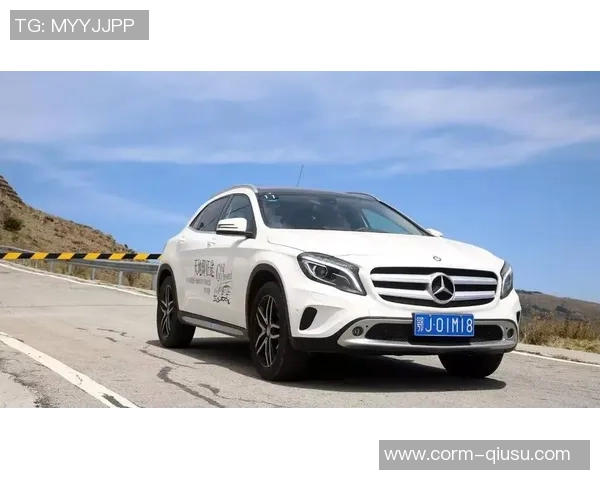 来自全国各地的近千名选手在武汉空港新城奔驰